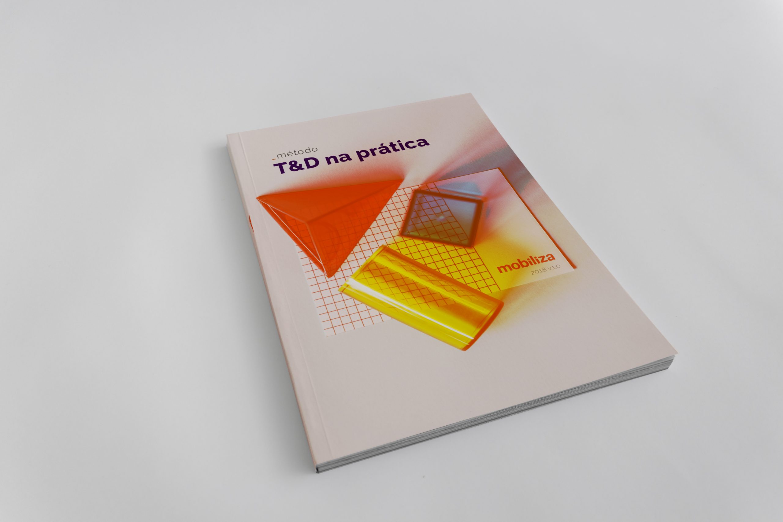 T&DP_capa-mockup